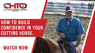 How To Build Confidence In Your Cutting Horse.