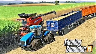 THE FASTEST SUGARCANE HARVEST EVER! T9 BEAST - FS19 | Lone Oak Farm