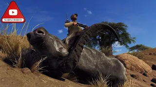 Way of the hunter cape buffalo 5* (482/500)