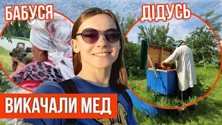 Літо в селі. Качаємо мед. Страйкбол у колгоспі