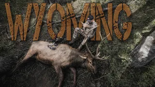 Archery 6x6 BULL | an Elk Hunt Story