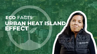 The Heat Island Effect Explained | Eco Facts | One Tree Planted