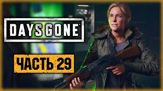 DAYS GONE #29 ☣️ - ВЫЛАЗКА С САРОЙ ЗА ОБОРУДОВАНИЕМ - Жизнь После (2021)