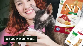 ЧЕМ КОРМИТЬ КОТА. Обзор кормов для кошек. Любимые растения кота