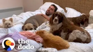 Guy Sleeps In Bed Full Of Rescue Animals | The Dodo