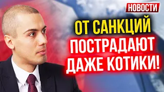 От санкций пострадают даже котики! Экономические новости с Николаем Мрочковским