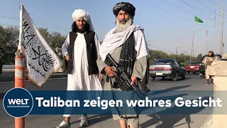 TALIBAN RECHNEN AB: Kujat - Neue Nordallianz gegen Islamisten unwahrscheinlich | WELT Interview