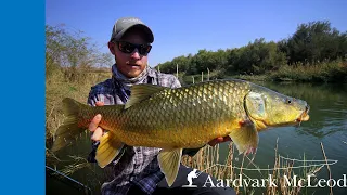 Largemouth Yellowfish - One Minute Monday