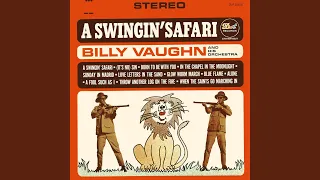 A Swingin' Safari