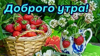 🌼🌸Доброго утра!🌷 прекрасного утреннего настроения!🌷 музыкальное пожелание с добрым утром!🌼🌸