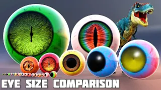 Animal Eye size comparison | monster eye | the bloop eye | el gran maja eye