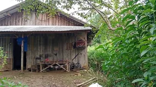 Montok Mantap Bikin Ketagihan Kehidupan Kampung Jawa Pedalaman Hutan nuansa Jaman Dulu Jawa Tengah