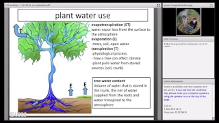 Surprising Role of Trees in the Boreal Water Cycle