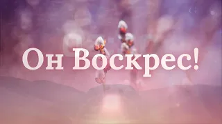 Апрель 4, 2021- Воскресное Пасхальное Служение - Д.Жеребненков - "Воскресение Христа и наша вера"