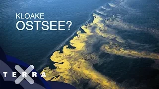 Ist die Ostsee noch zu retten? | Dirk Steffens