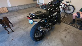 Delkevic Z900RS Exhaust