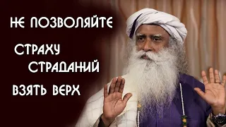 Не позволяйте страху страдания ограничивать вас - Садхгуру на Русском