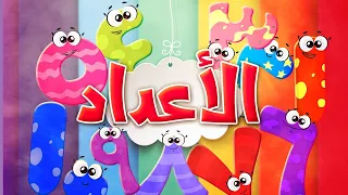 الأعداد - طيور بيبي | Toyor Baby