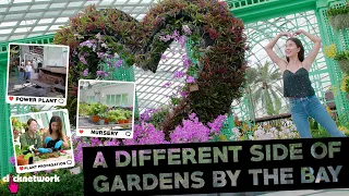 A Different Side Of Singapore Gardens By The Bay - Behind The Feed: EP8