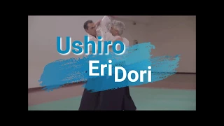 Aikido - Bruno GONZALEZ Rome Seminar 2017