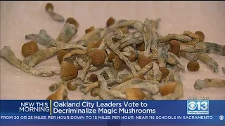 Oakland Becomes 2nd US City To Legalize Magic Mushrooms