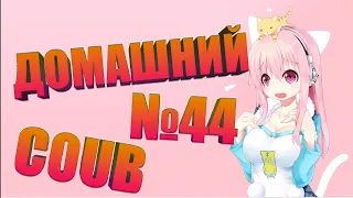 Домашний COUB #44