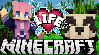 Pandas! | Ep. 5 | Minecraft X Life SMP