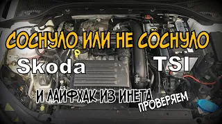 Skoda: TSI "Соснуло или Не Соснуло" (2021)