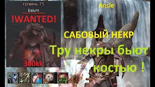 Lineage 2 Asterios x5 Baium 29.07