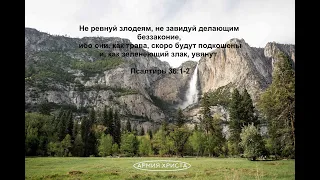 Псалом 36. Не ревнуй злодеям, не завидуй делающим беззаконие