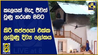 කැලයක් මැද ජීවත් වුණු තරුණ මවට කිරි සප්පයෝ එක්ක ලැබුණු දිව්‍ය ලෝකය