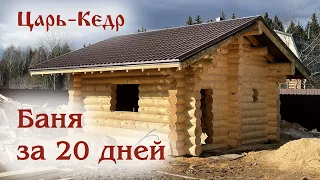 Баня за 20 дней. Кедровая баня.