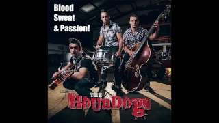 The Houndogs New Album  - Blood Sweat & Passion