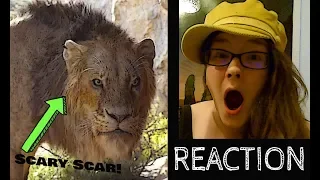 The Lion King: "The King Returns" Featurette~ CRAZY REACTION