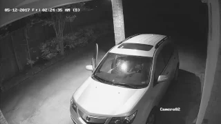 LP's Auto Burglary