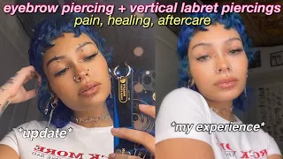 eyebrow piercing + vertical labret piercing update ♡ experience, pain, healing & aftercare