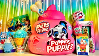 Сюрприз MIX! PETS ALIVE POOPING PUPPIES, 5 SURPRISE MINI BRANDS, NA! NA! NA! LOL, LITTLET PET SHOP