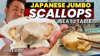 Jumbo SCALLOPS from Hokkaido | Sea to Table