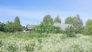 Rustic summer ambience. Nature sounds in a village for relaxation and sleep