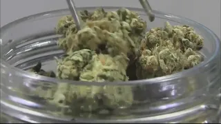 Minnesota now 23rd state to legalize recreational marijuana