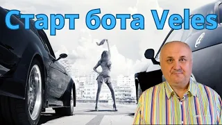 Вход в сделку в ботах Veles