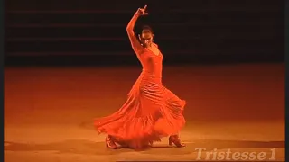 Amazing Flamenco