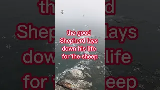 John 10:11 "I Am The Good Shepherd"