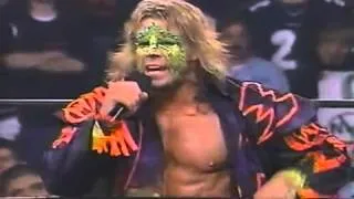 Ultimate Warrior Post Havoc Nitro