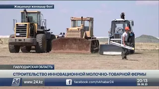 Инновационную молочно-товарную ферму построят в Павлодарской области