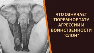 Что означает тюремное тату агрессии и воинственности «Слон»?