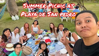 Summer beach Picnic and Bbq | San Pedro de Alcantara Playa