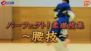 パーフェクト!柔道技集#02～腰技～【J SPORTS 876】