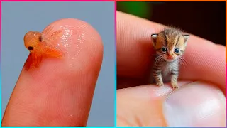 Amazing MINIATURE Creations That Are At Another Level ▶3