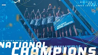 Men's 10k - 2019 DII NCAA cross country championships - full highlights